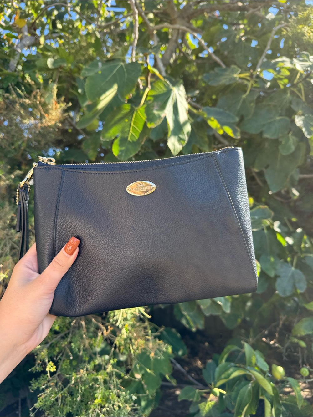 Blue pebbled leather Coach wristlet/coach